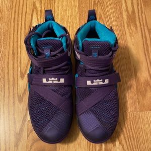 Nike Lebron Hornets Court Purple